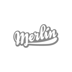 3 - merlin